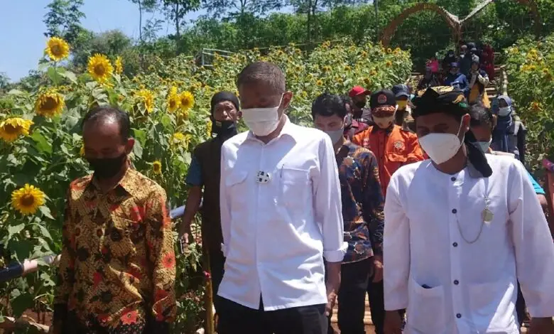 Siap Dongkrak PADes, Taman Wisata Bunga Matahari Desa Nanggalamekar Ciranjang Diresmikan