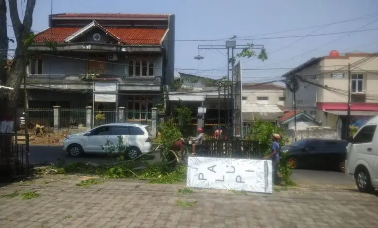 Soal Penebangan Pohon di Cianjur, Dinas Saling Tuding