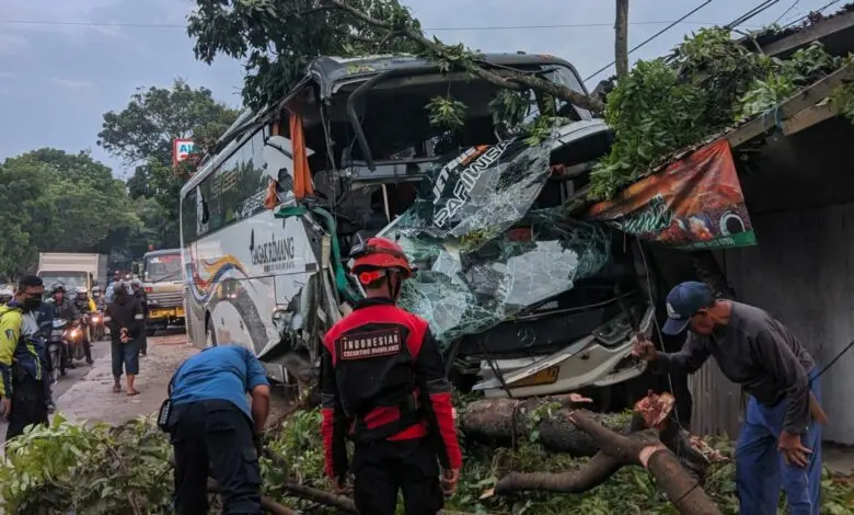 Sopir Mengantuk, Bus Pariwisata Tabrak Tiga Pohon di Cianjur
