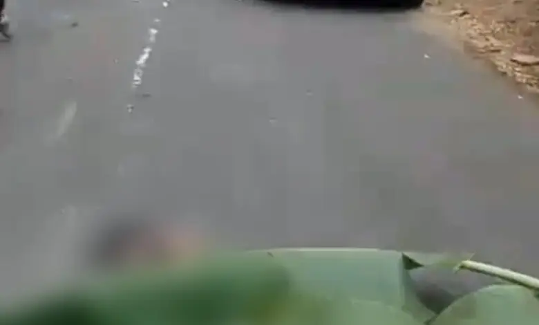 Tabrak Lari di Pagelaran Tewaskan Dua Orang