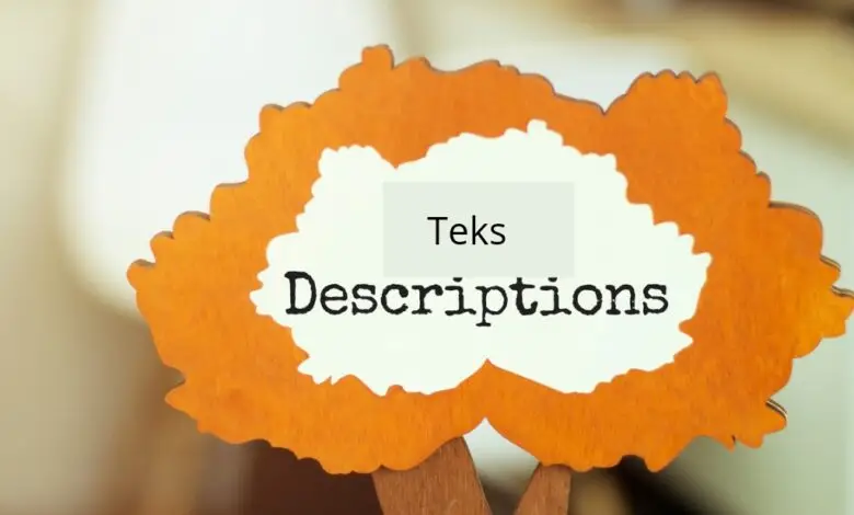 Teks Deskriptif Yang Baik? Berikut Ini Struktur Penulisannya!