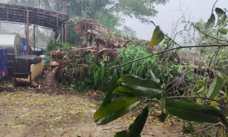 Tiang Listrik Tumbang, Pemadaman Terjadi di Beberapa Wilayah Cianjur