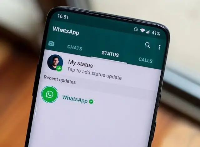 Tidak Menyetujui Kebijakan Baru WhatsApp? Ini Fitur yang Tidak Dapat Digunakan