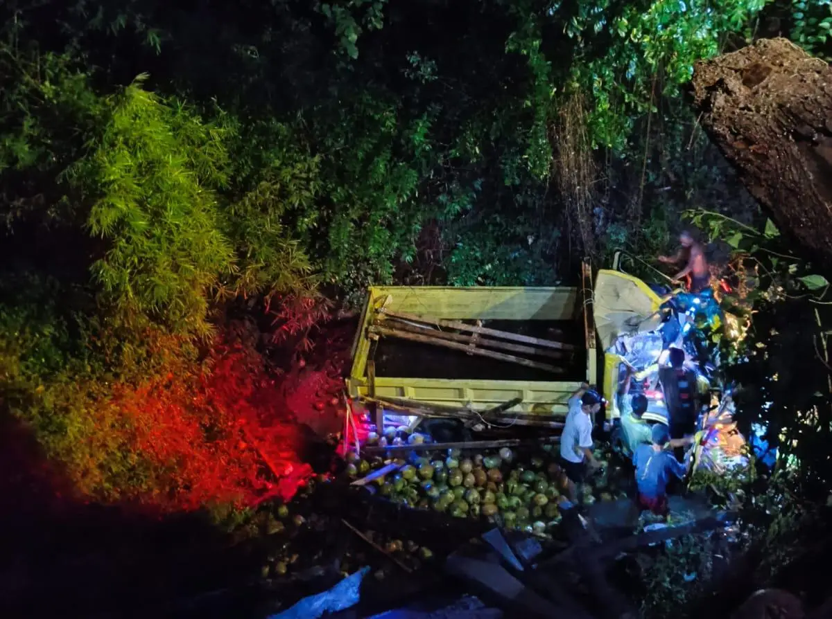 Truk Bermuatan Kelapa Terjatuh dari Jembatan Setinggi 6 Meter di Cianjur, Satu Orang Meninggal