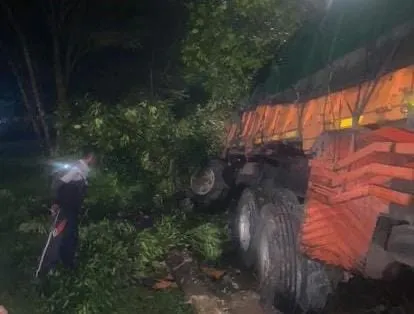 Truk Bermuatan Pakan Hantam Pohon di Cianjur, Sopir Tewas di Tempat