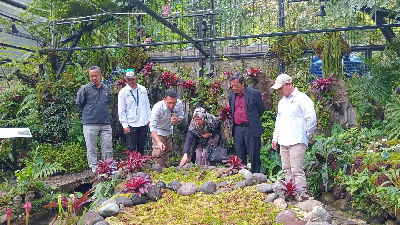 Usung Konsep Baru, KRC Resmi Buka Kembali Rumah Kaca Nepenthes