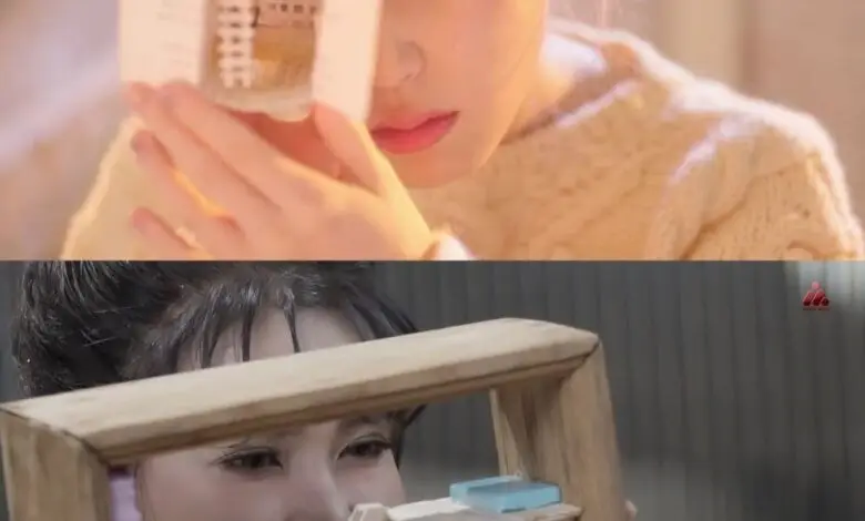 Via Vallen Diserang Fans IU, Dituding Jiplak Video Klip