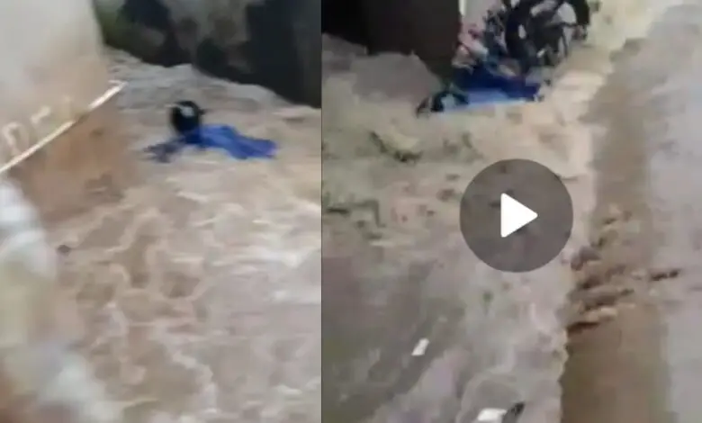 Viral, Video Detik-detik Pengendara Motor Hanyut Terseret Banjir