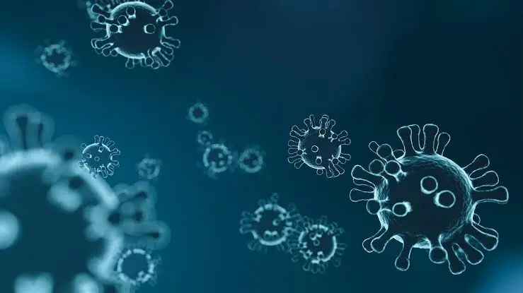 Waduh! Kemenkes Sebut Sudah Ada Enam Warga Indonesia yang Terpapar Virus B117