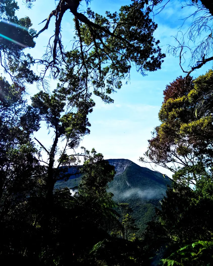 Antisipasi Kebakaran Lagi, Pendakian Gunung Gede Pangrango Ditutup hingga Waktu yang Belum Tetap