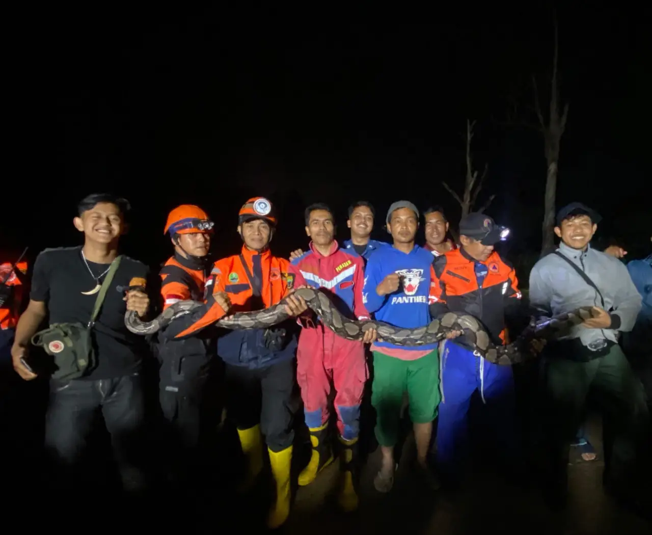 Cuaca Ekstrem, Damkar Cipanas Evakuasi Ular Sanca Hingga Empat Jam di Tebing Cimacan