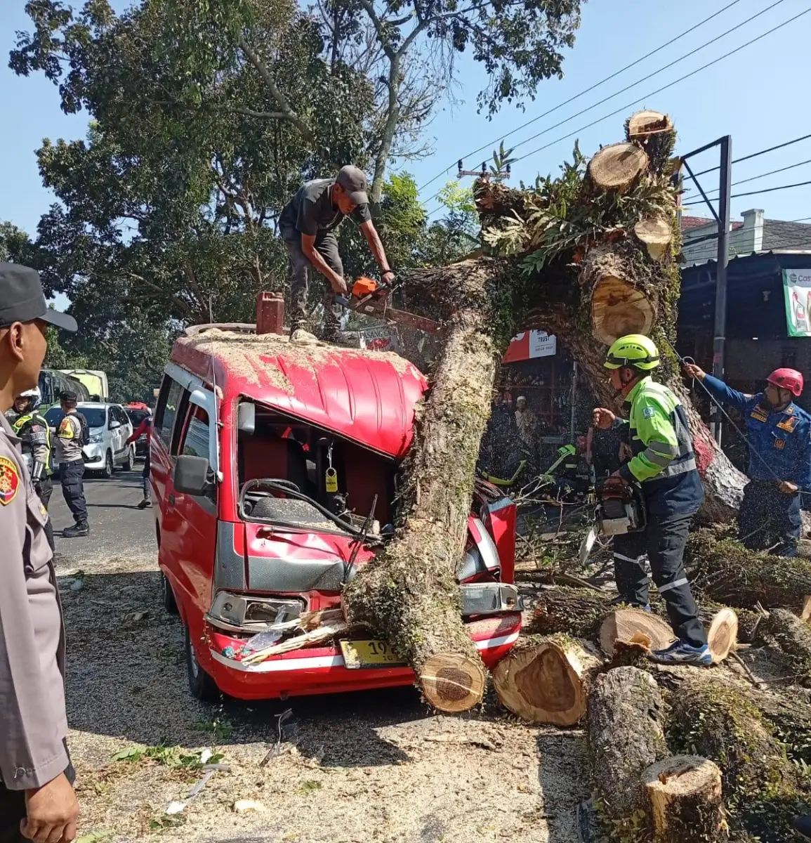 Pohon Besar Tumbang di Jalur Cianjur-Bandung, 4 Kendaraan Tertimpa dan 4 Orang Luka