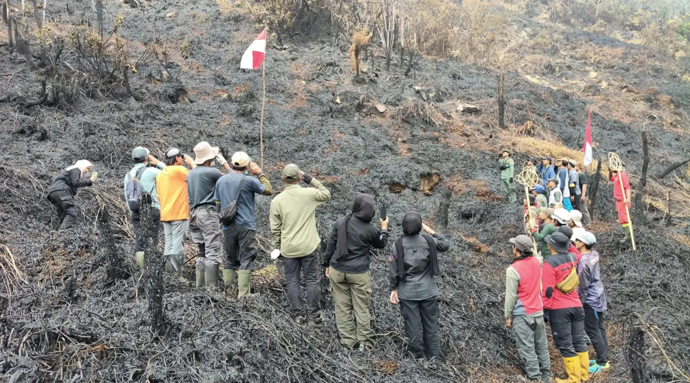 Peringati HUT ke-81 RI, Tim Gabungan Kibarkan Bendera Merah Putih di Area Bekas Kebakaran Gunung Gede Pangrango