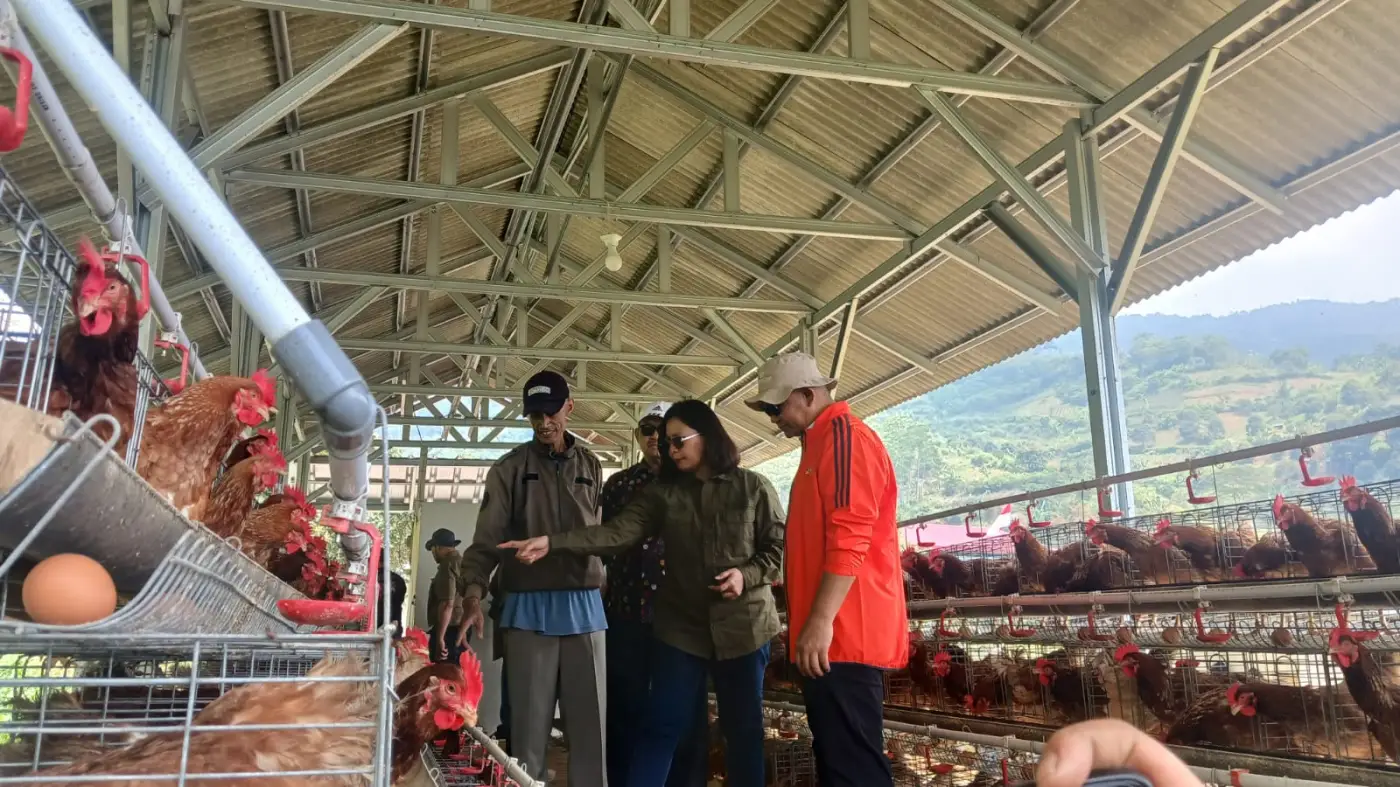 Dari Lahan Bekas HGU Jadi Produktif, Bank Tanah Kelola 980 Hektare di Cianjur