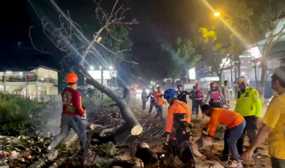 Pohon Tumbang Timpa 2 Motor di Jalan Raya Bandung-Cianjur, 3 Orang Terluka