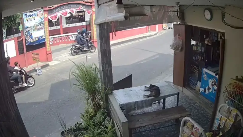 Curanmor di SDN Kawunglunguk Sukaresmi Cianjur, Honda Beat Milik Orang Tua Siswa Raib — Cianjur Update