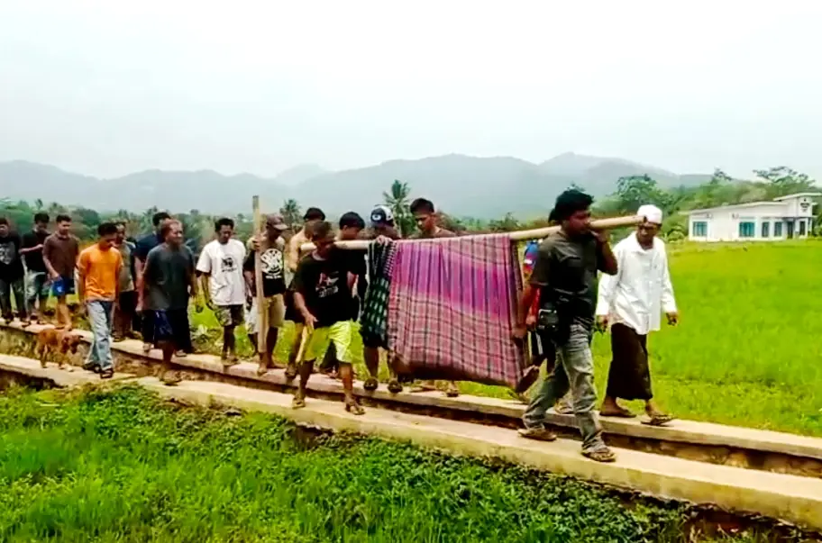 Diserang Kawanan Tawon Vespa Hingga Terperosok ke Selokan, Lansia di Cikalongkulon Cianjur Meninggal Dunia