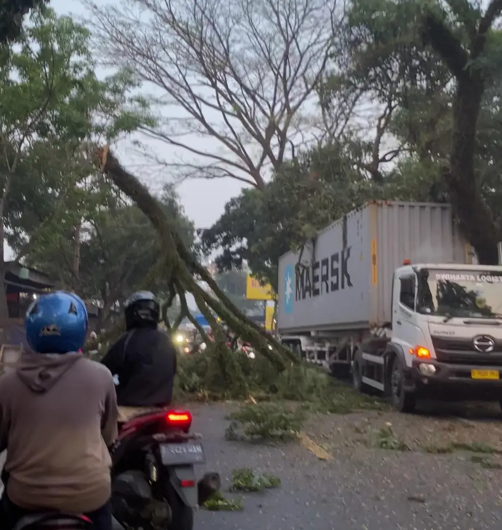 Dahan Pohon Patah Tersangkut Kontainer di Karangtengah Cianjur, Arus Lalu Lintas Sempat Terganggu
