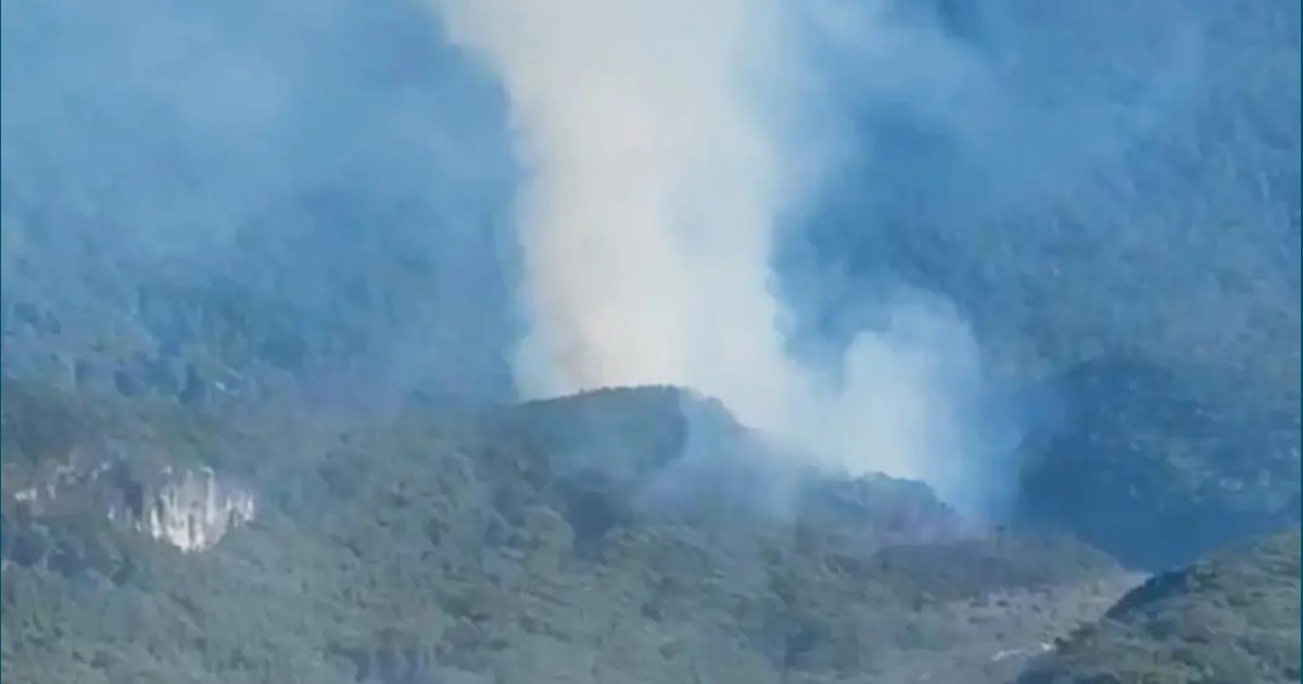 Kepulan Asap Tebal Terlihat di Kawah Gunung Gede Pangrango, Penyebab Kebakaran Masih Diselidiki
