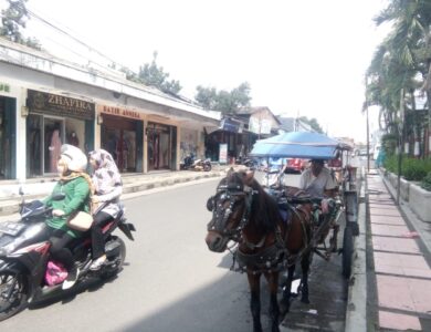 Di tengah pesatnya kemajuan teknologi transportasi di Indonesia, becak dan delman Cianjur tak lekang ditelan zaman.