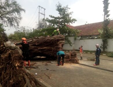 Hujan Badai, Pohon dan Pemancar Radio di Cianjur Tumbang