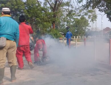 Wabah DBD Serang Cianjur, Belasan Orang Dirawat, Satu Meninggal