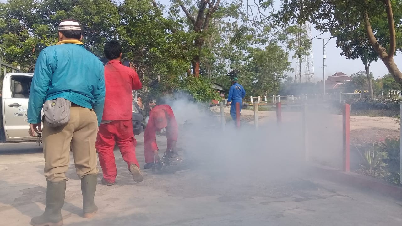 Wabah DBD Serang Cianjur, Belasan Orang Dirawat, Satu Meninggal