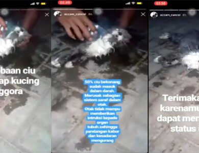 Video Kucing Diracuni Ciu Viral di Twitter
