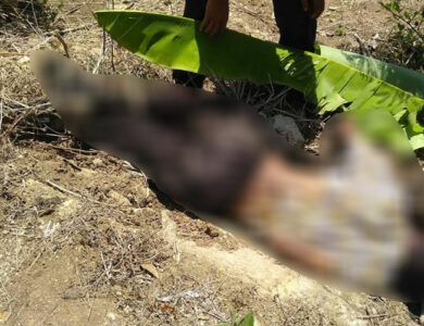 Sesosok Mayat Pria Ditemukan di Sindangbarang, Cianjur