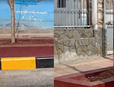 Hari Menanam Pohon Nasional, Cianjur Masih Gersang