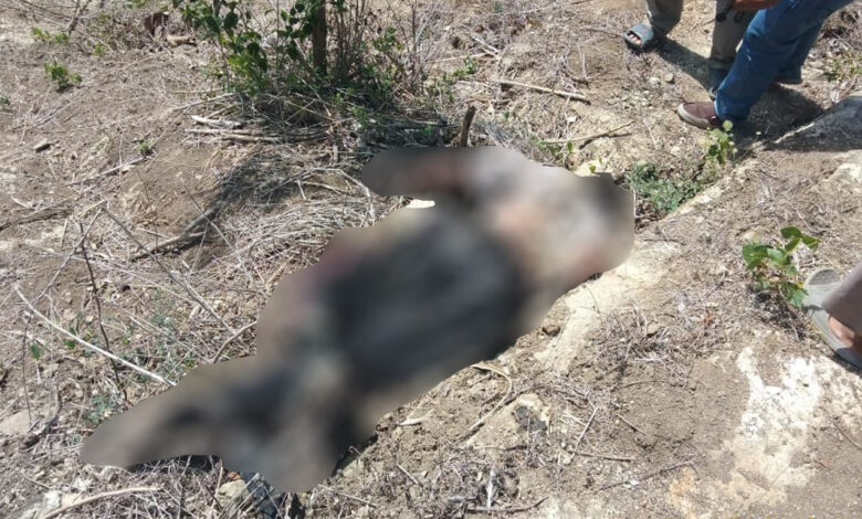 Penemuan Mayat di Sindangbarang, Diduga Jatuh dari Tebing