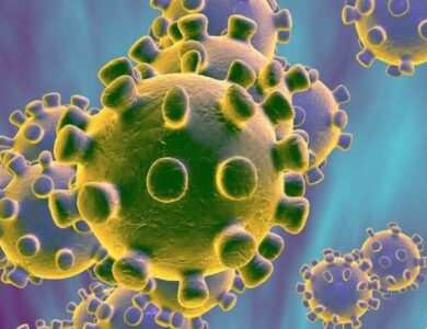 Kenali Apa Itu Virus Corona, Berbahaya atau Tidak?