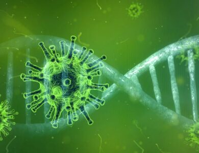 Ilustrasi Corona/Pixabay