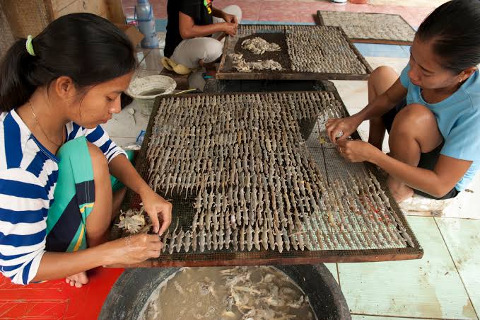 Dahsyat! Bisnis Nyentrik Milik Warga Cirebon Ini Viral di Medsos, hingga Tembus Pasar China, Apa sih?