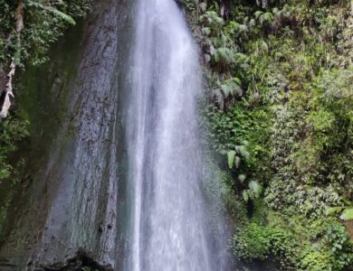 Curug Ciismun, Pesona Air Terjun Kebun Raya Cibodas yang Epic Banget!