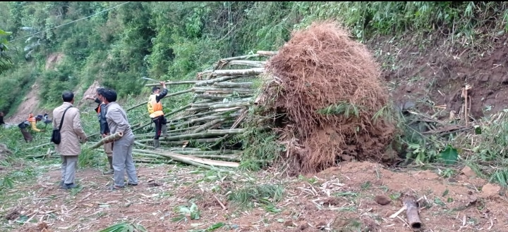 Pohon mahoni tumbang pagelaran