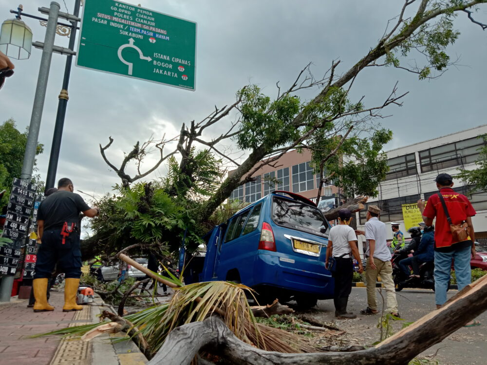 Pohon tumbang by pass cianjur