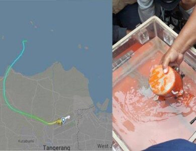 Black Box Sriwijaya Air ditemukan