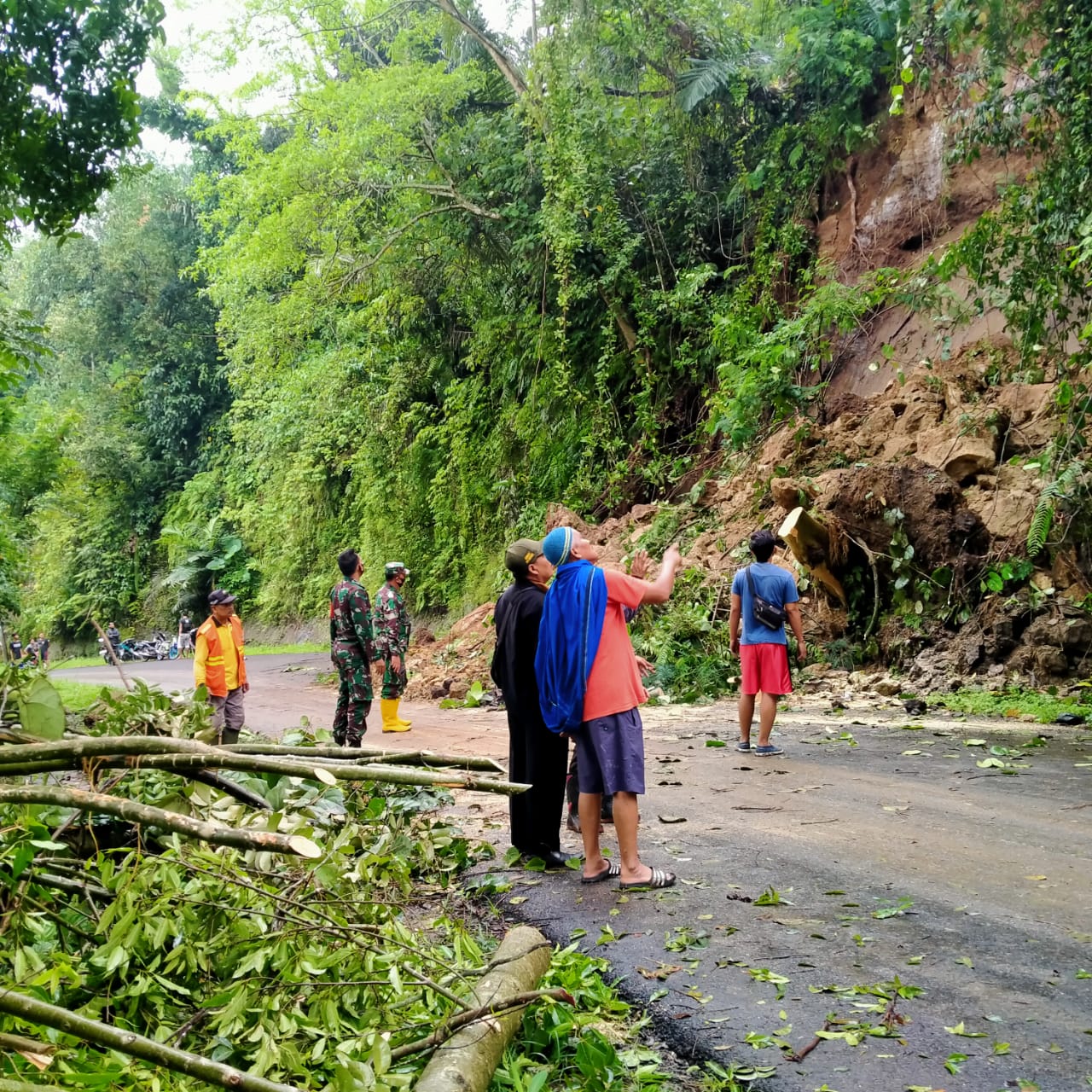 Tebing longsor haurwangi cianjur