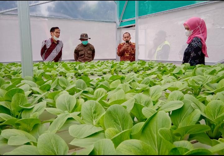 Gabungkan Peternakan Itik dan Perikanan, Desa Sindanglaya jadi Pilot Project Ketahanan Pangan