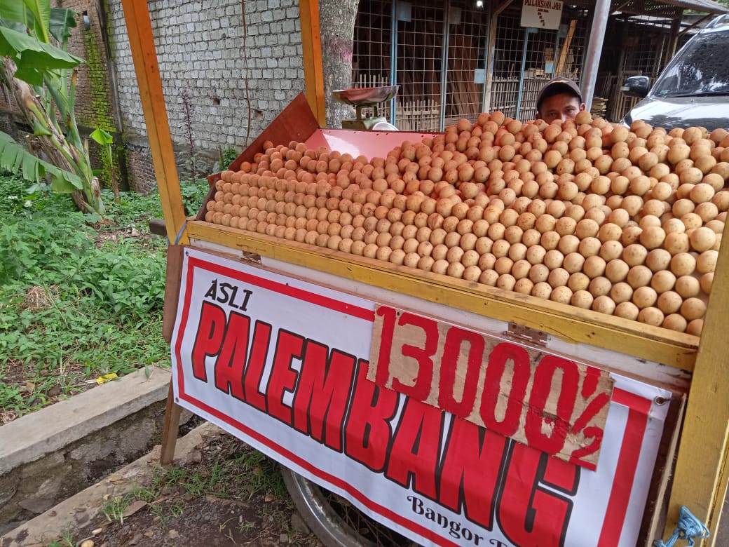 MENJAMUR: Musim buah duku membuat pedagang dadakan mulai menjamur di setiap ruas jalan di Cianjur, harganya pun berkisar Rp26 ribu per kilogramnya. (Foto: Riski Maulana/cianjurupdate.com)