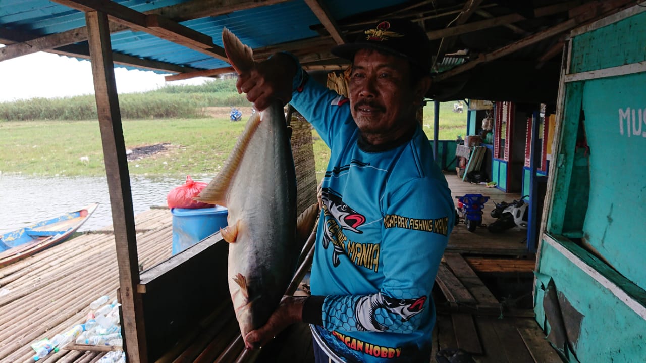 Ikan di Lokasi Kebon Jengjen Kertajaya Ciranjang Melimpah, Para Pemancing Mulai Berdatangan