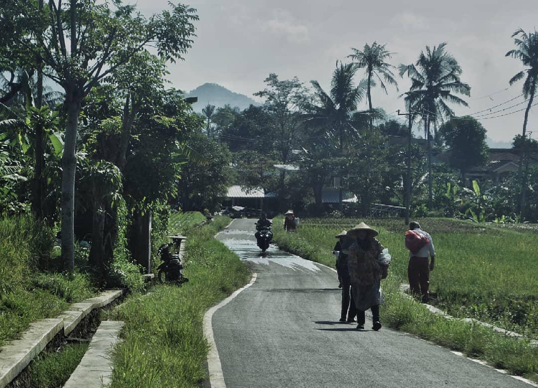 Rencana Impor Beras Terus Ditolak, DPRD Cianjur: Kalau Surplus, Buat Apa Harus Impor Segala?