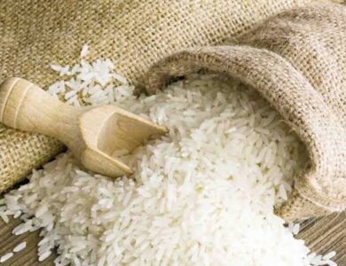 Jokowi Tegaskan Tidak Akan Ada Impor Beras: Saya Minta Segera Hentikan Perdebatan!