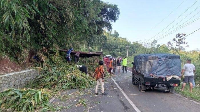 Duh! Kecelakaan Kembali Terjadi Tanjakan Cae Sumedang, Truk Pakan Sapi Jatuh Terguling