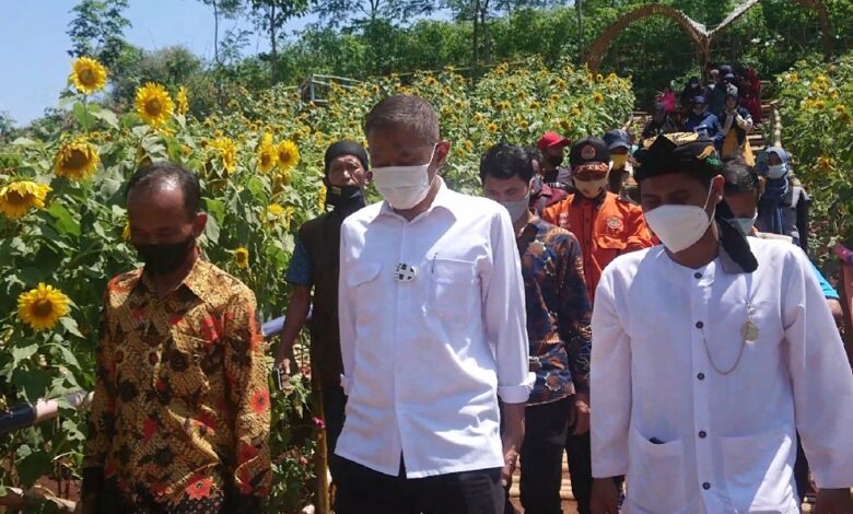 Siap Dongkrak PADes, Taman Wisata Bunga Matahari Desa Nanggalamekar Ciranjang Diresmikan