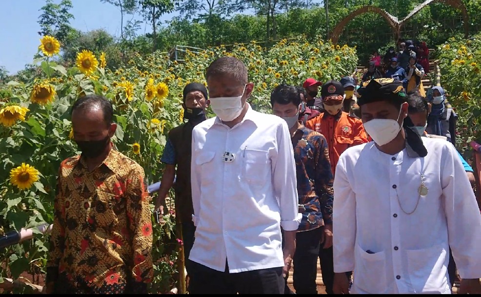 Siap Dongkrak PADes, Taman Wisata Bunga Matahari Desa Nanggalamekar Ciranjang Diresmikan