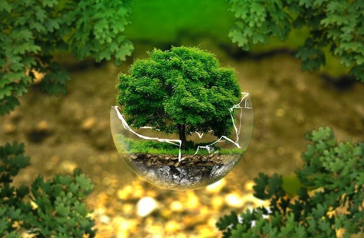 Peringatan Hari Bumi Sedunia 2021: Restore Our Earth