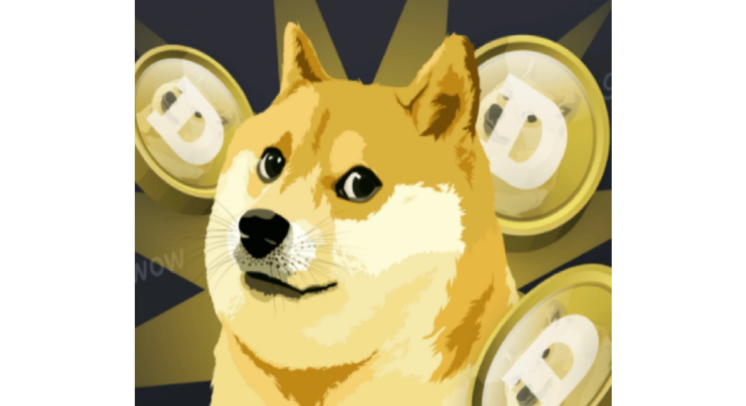 Prediksi Shiba Inu. Foto: Binance