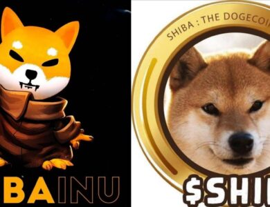 Shiba Inu Meroket, Dua Pemuda Bersaudara Ini Gagal Miskin